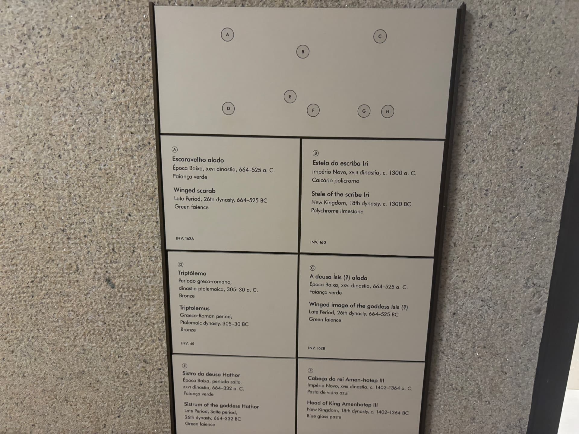 Cartel du Musée Gulbenkian décrivant le scarabée ailé égyptien, XXVIe dynastie, 664–525 av. J.-C.