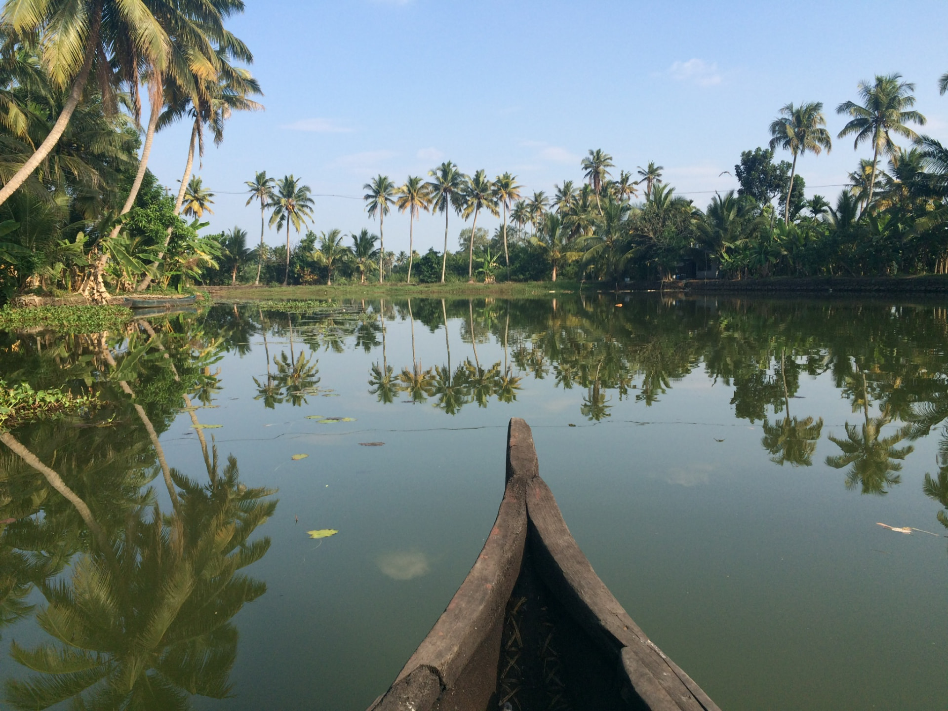 Barque sur la Kavan River au Kerala, palmiers se reflétant dans l'eau calme